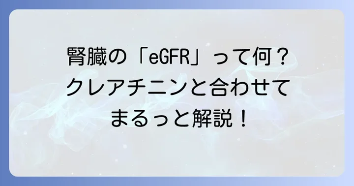 推算GFR（eGFR）とは？クレアチニンとの関係を理解する