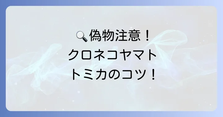 入手する際の注意点と失敗しないためのコツ