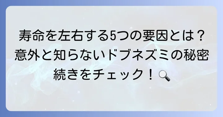 ドブネズミの寿命を左右する要因