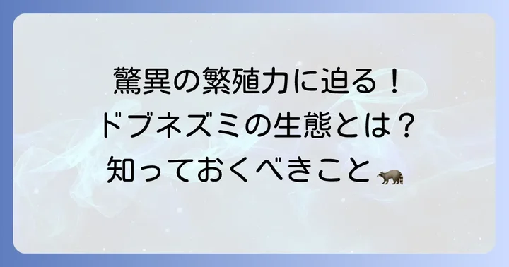 ドブネズミの生態と繁殖力