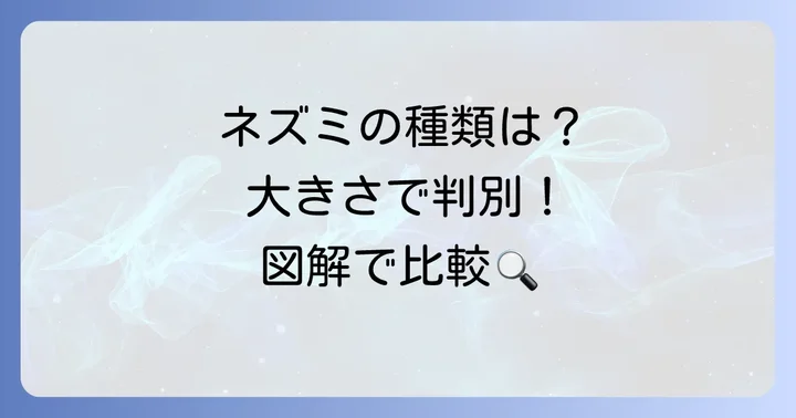 クマネズミとドブネズミ・ハツカネズミの大きさ比較
