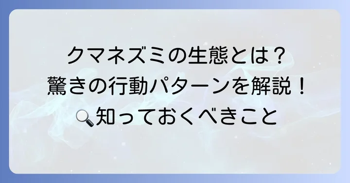 大きさからわかるクマネズミの生態と行動パターン