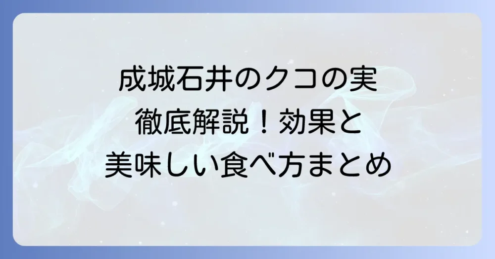 成城石井のクコの実の魅力と効果的な食べ方を徹底解説