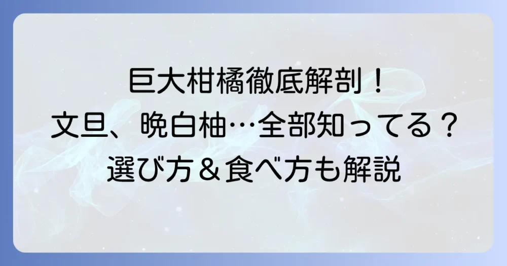グレープフルーツみたいな大きい果物は何？その特徴と美味しい食べ方を徹底解説