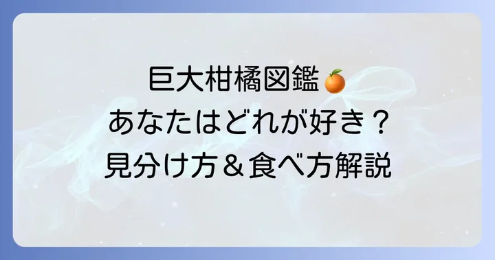 グレープフルーツに似た大きな柑橘類の種類と魅力