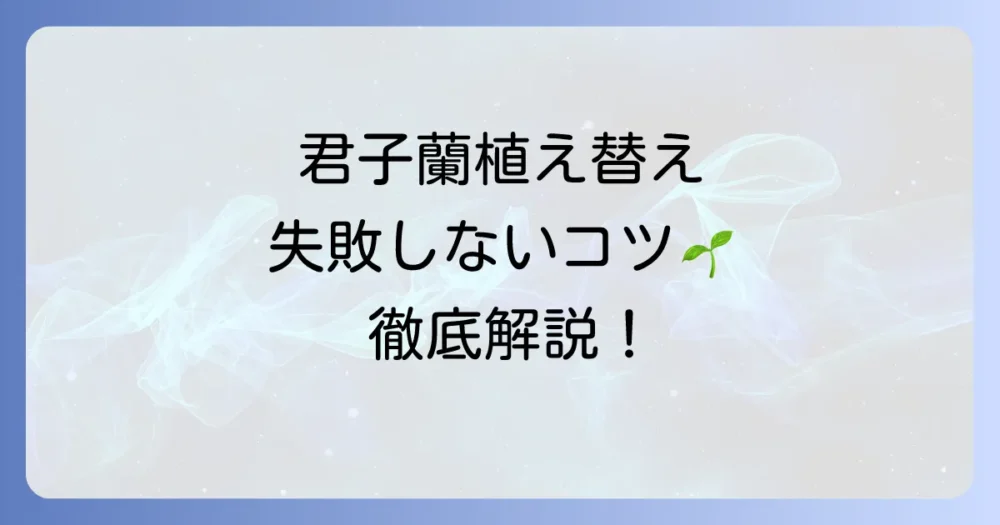 君子蘭の植え替え時期はいつ？失敗しないためのコツと方法を徹底解説