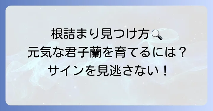 植え替えが必要なサインを見逃さない