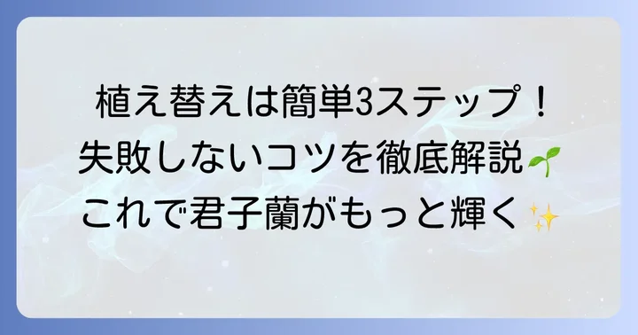 君子蘭の植え替えの進め方