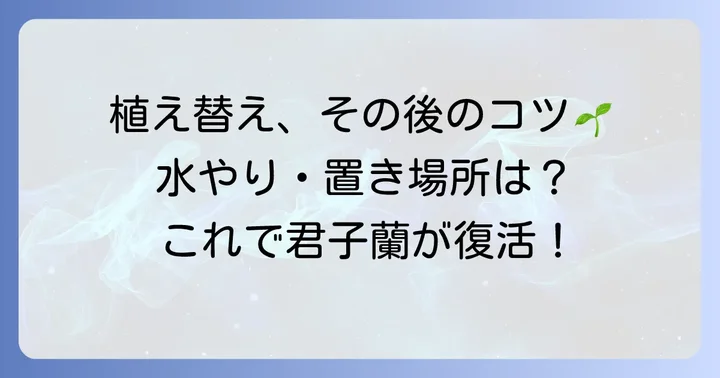植え替え後の管理で元気に育てる
