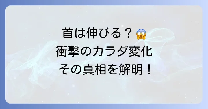 首長族の首は本当に伸びるのか？身体への影響