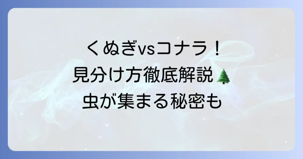 くぬぎの木の見分け方徹底解説！コナラやアベマキとの違いもわかる