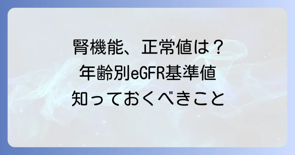 糸球体濾過量基準値でわかる腎機能の目安！年齢別の正常値と対策方法を徹底解説