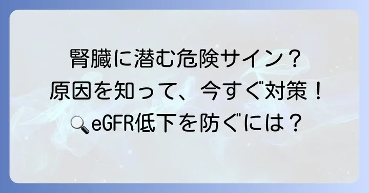 糸球体濾過量（eGFR）が低下する主な原因