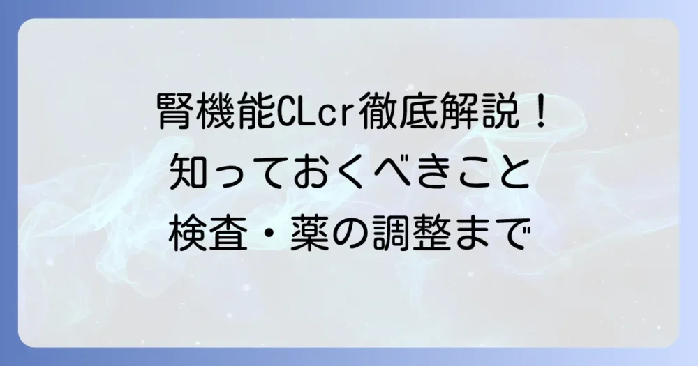 CLcrとは？腎機能の評価から薬の調整まで徹底解説