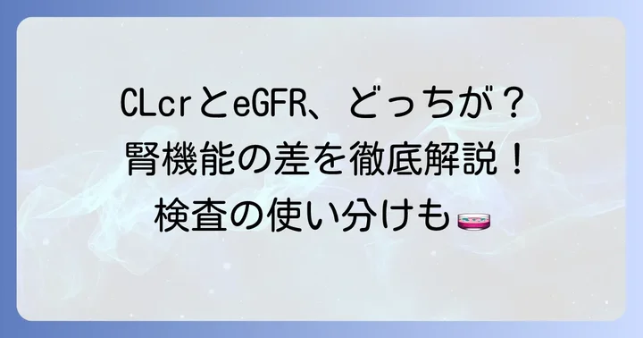 CLcrとeGFRの違いを理解し適切に使い分ける