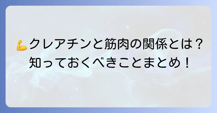 クレアチンとは?筋肉とエネルギーの重要な関係