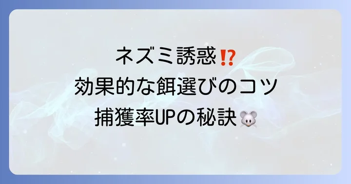 捕獲器や殺鼠剤に使う餌の選び方とコツ