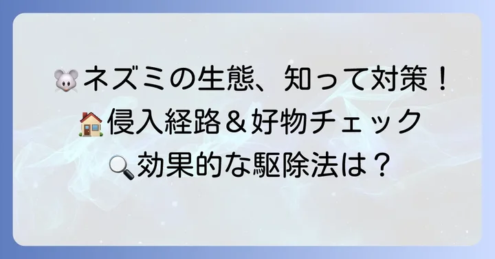 クマネズミの生態と習性を知る