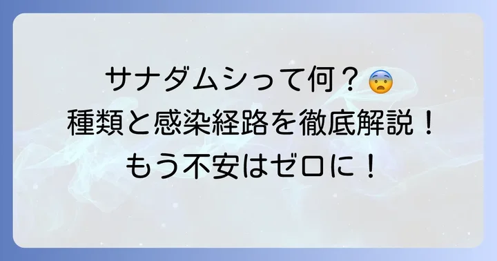 サナダムシとは？人間に寄生する主な種類と感染経路