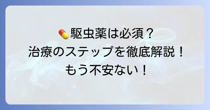 人間がサナダムシを駆虫するための薬と治療の進め方