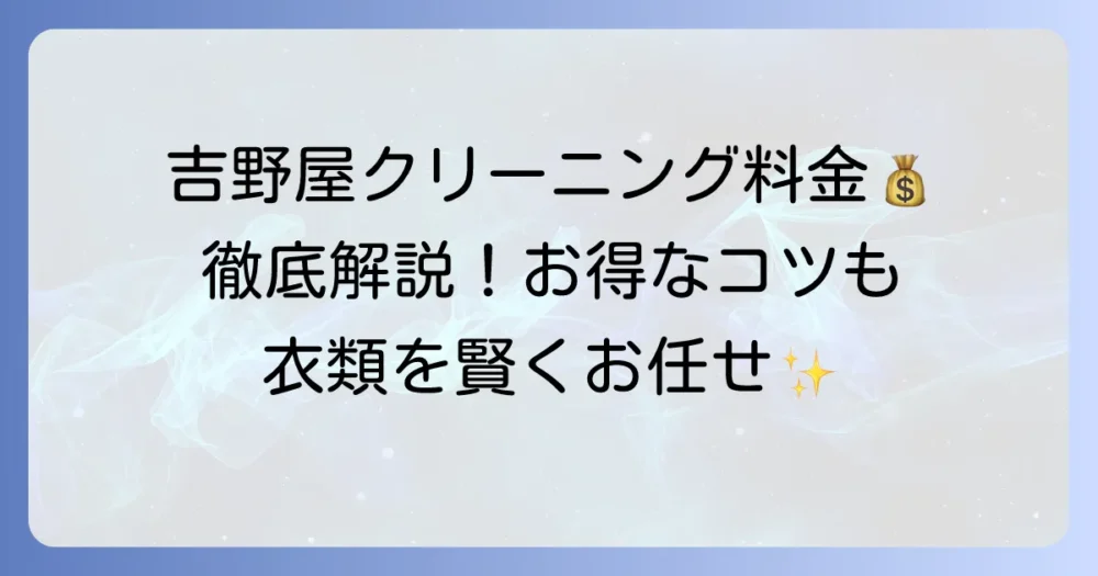 洗濯工房吉野屋の料金表を徹底解説！賢くお得に利用するコツ