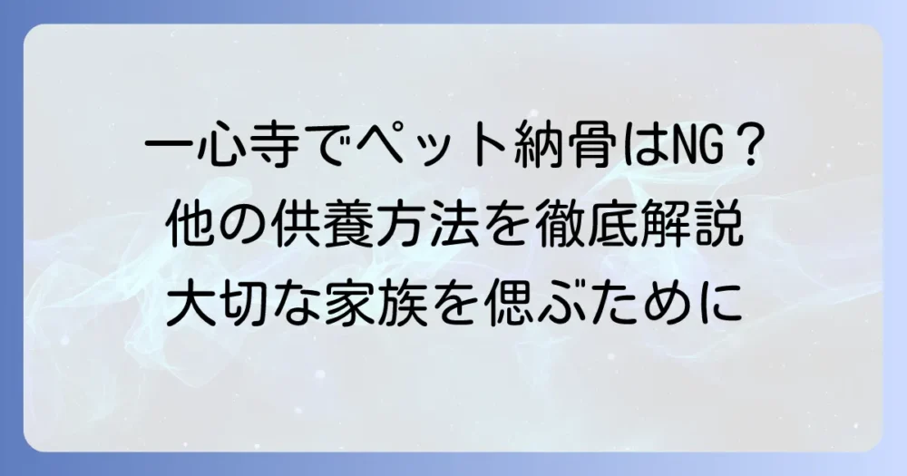 一心寺でのペット納骨は可能？大切な家族を供養する方法を徹底解説