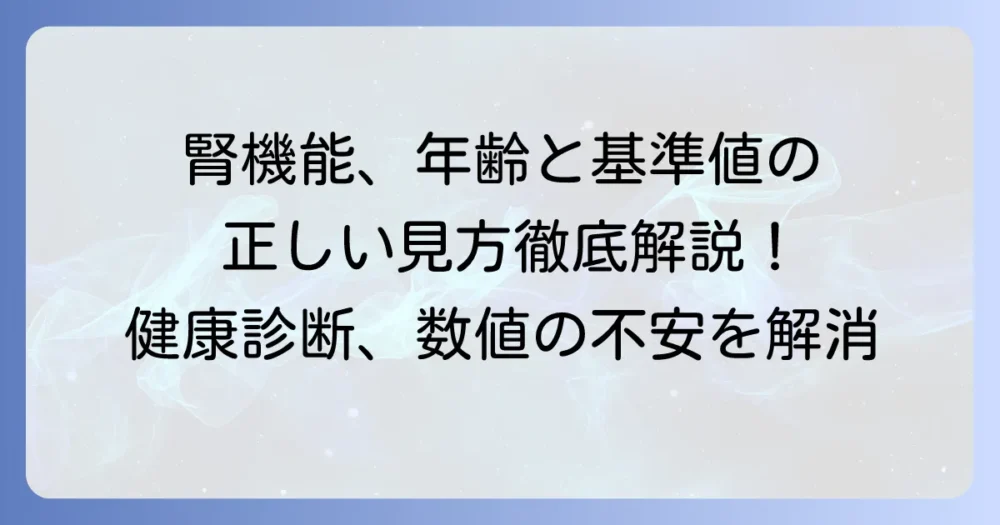 クレアチニンクリアランスの基準値と年齢の関係を徹底解説！腎機能の正しい見方