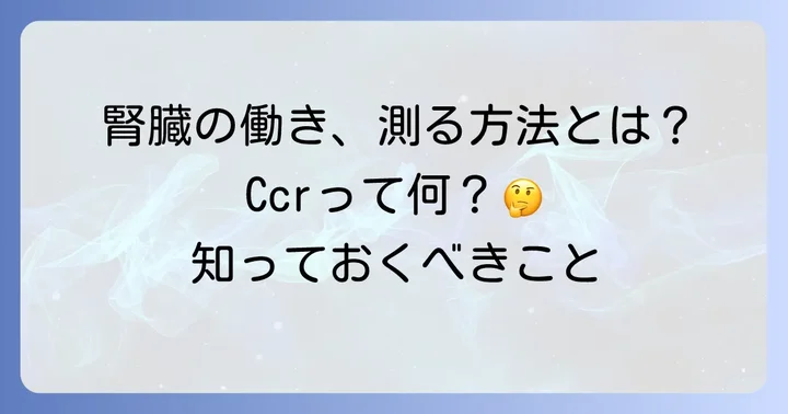 クレアチニンクリアランスとは？腎臓の働きを測る伝統的な方法