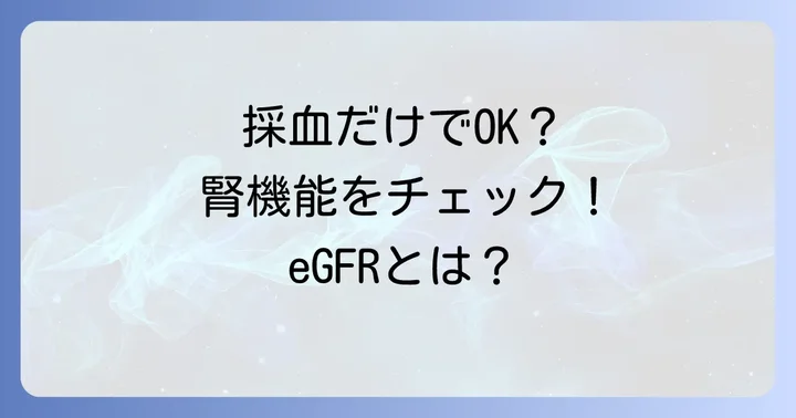 eGFR（推算糸球体濾過量）とは？簡便な腎機能評価の指標
