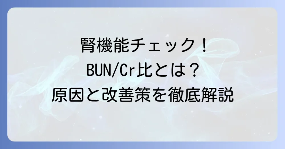 BUN/Cr比基準値とは？高い・低い原因と腎機能との関係を徹底解説