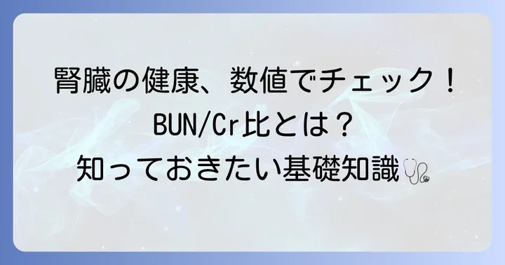 BUN/Cr比基準値とは？腎機能の指標としての役割