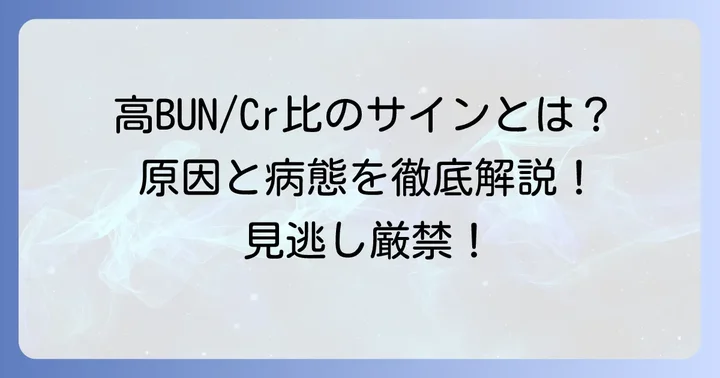 BUN/Cr比が高い場合に考えられる原因と病態