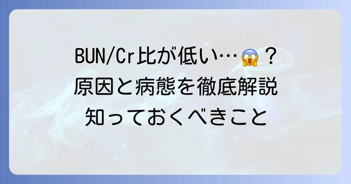 BUN/Cr比が低い場合に考えられる原因と病態