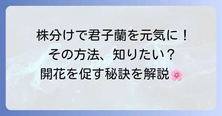君子蘭の株分けとは？なぜ株分けが必要なのか