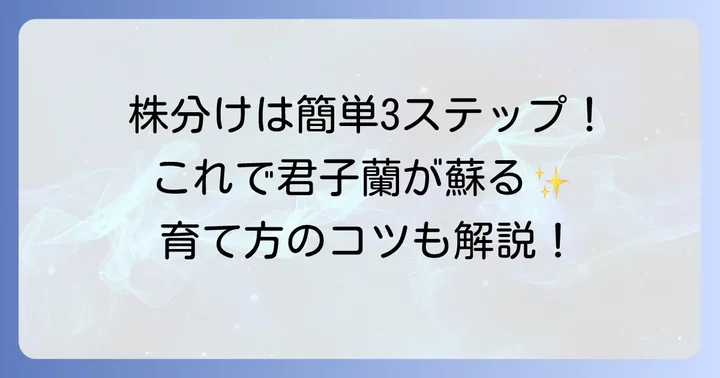 君子蘭の株分けの具体的な進め方
