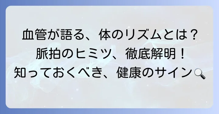 脈拍とは？血管から伝わるリズム