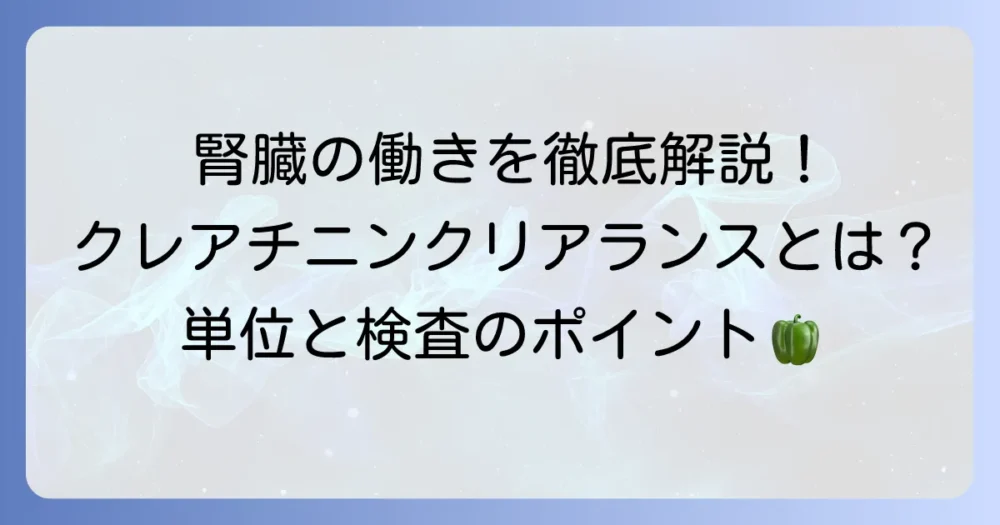 クレアチニンクリアランスの単位とは？腎臓の働きを知る指標を徹底解説