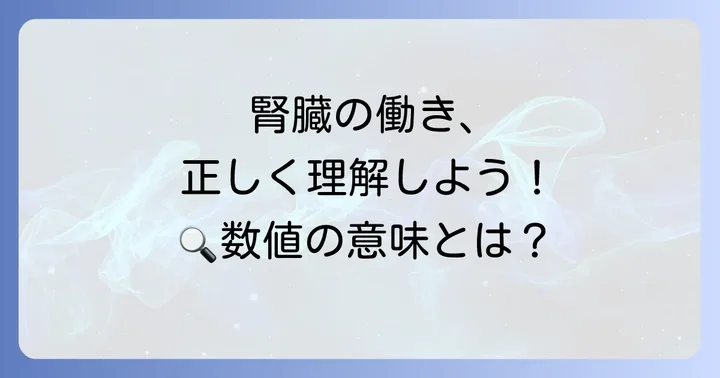 クレアチニンクリアランスとは？腎臓の濾過能力を示す重要な指標