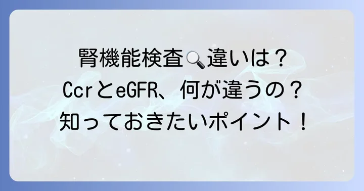 クレアチニンクリアランスとeGFR（推算糸球体濾過量）の違い