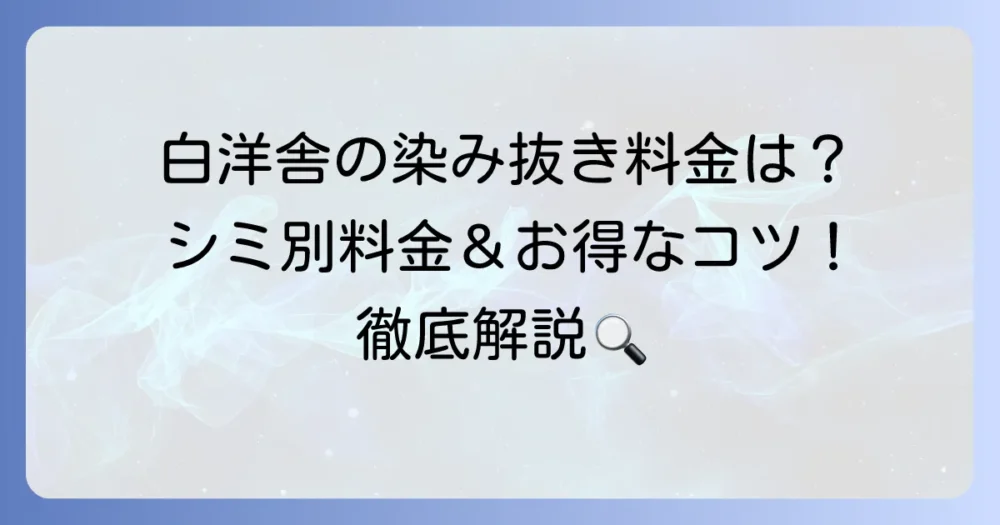 白洋舎の染み抜き料金は高い？シミの種類別の費用と依頼するコツを徹底解説！