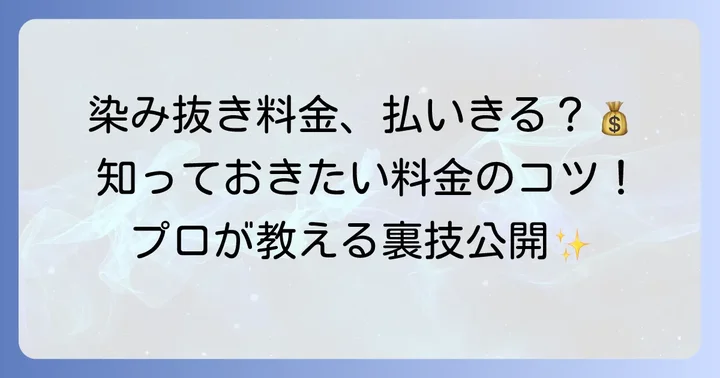 白洋舎の染み抜き料金体系を理解しよう