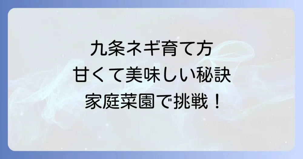 家庭菜園で九条太ネギを育てる：甘くて美味しいネギを収穫するコツを徹底解説
