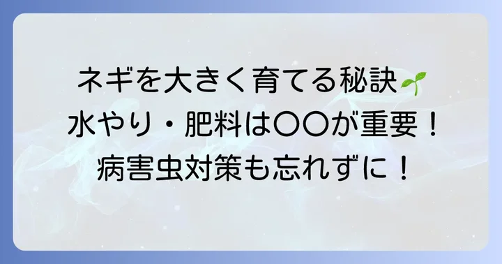 植え付けと日々の管理:九条太ネギを大きく育てるコツ