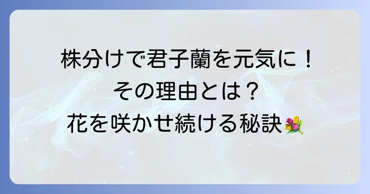 君子蘭の株分けはなぜ大切なの？