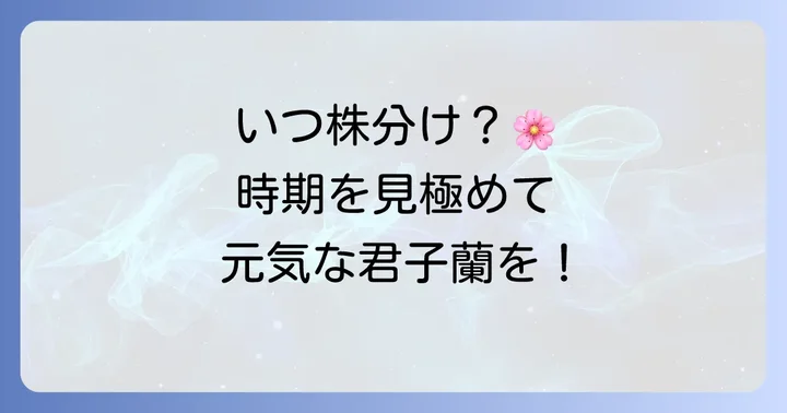 君子蘭の株分けに最適な時期を見極める