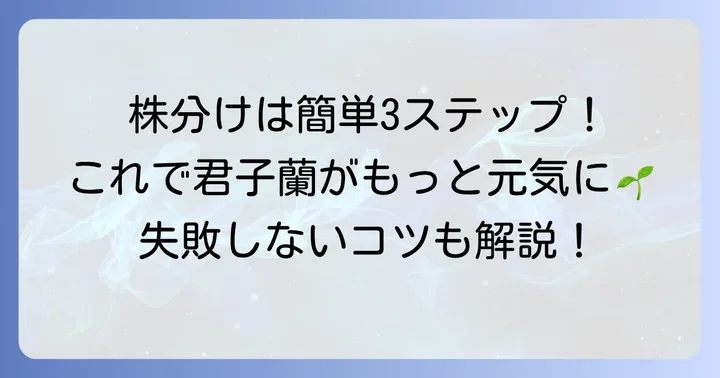 君子蘭の株分け方法をステップごとに解説