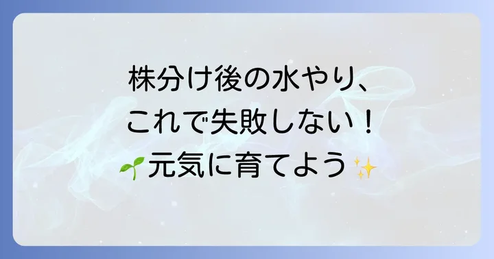 株分け後の君子蘭の管理方法