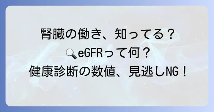 eGFRとは？腎臓の働きと検査の基本を知ろう
