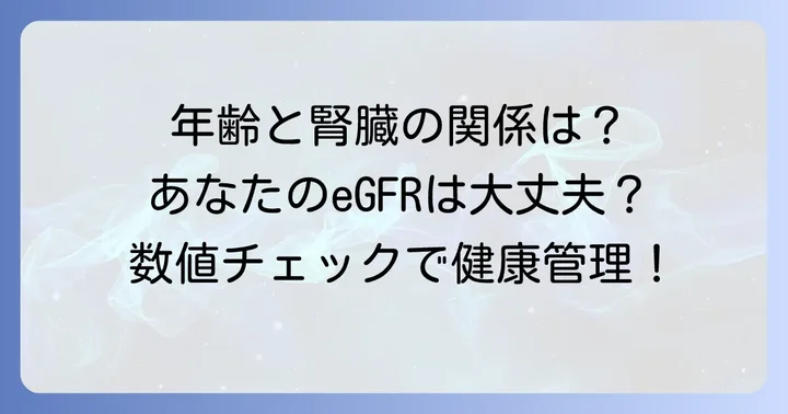 年齢で変わるeGFR基準値：あなたの腎臓は大丈夫？
