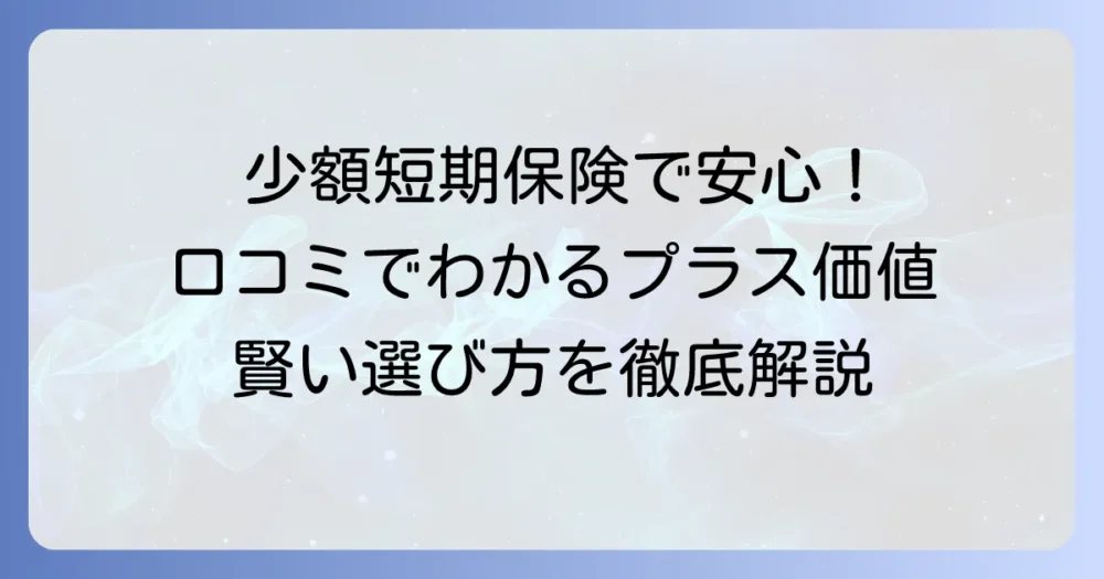 少額短期保険の口コミでわかるプラスの価値！賢い選び方と注意点